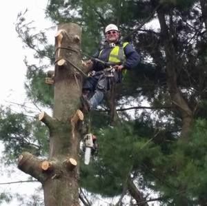 Meet your Posher, Jeff